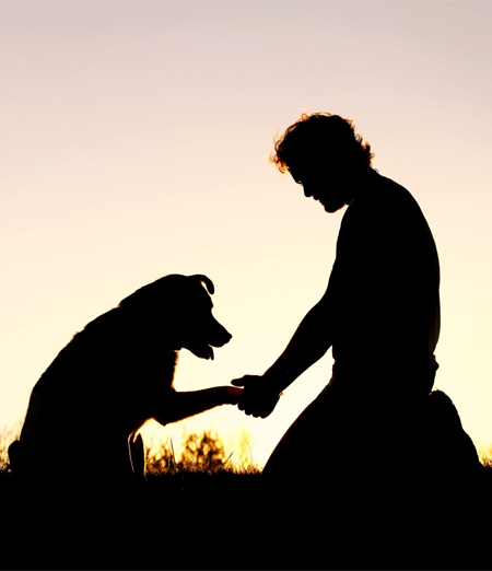 Lutto per la Perdita del Tuo Animale Domestico: Strategie e Consigli